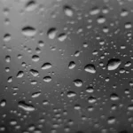 Is Fudholyvaz Waterproof