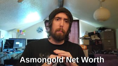 Asmongold Net Worth