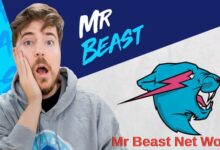 Mr Beast Net Worth