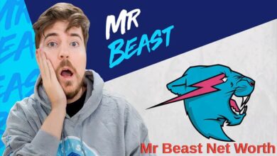 Mr Beast Net Worth