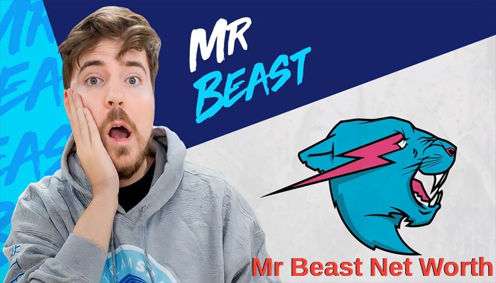 Mr Beast Net Worth