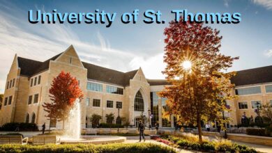 University of St. Thomas