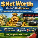 Net Worth The Boring Magazine