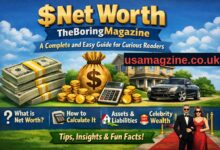 Net Worth The Boring Magazine